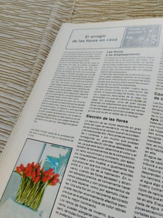 Creatividad para el tiempo libre