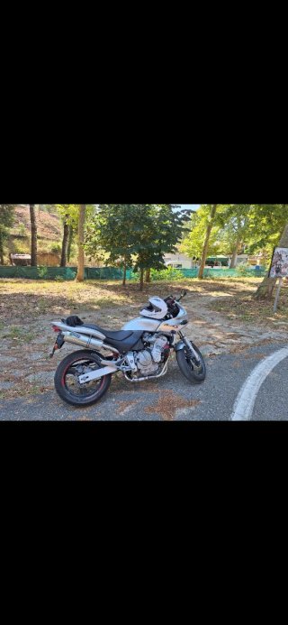 Honda CB600S Hornet Plata