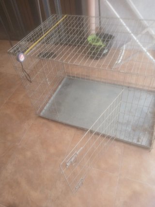 Jaula metálica para perros