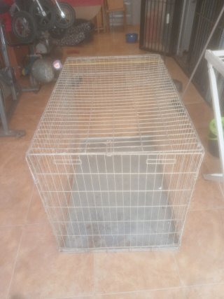 Jaula metálica para perros