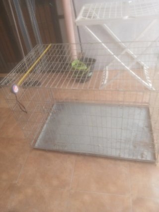 Jaula metálica para perros