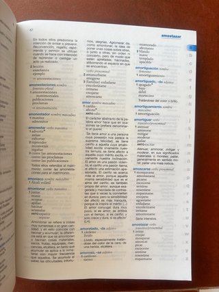 Diccionario Escolar de Sinónimos y Antónimos
