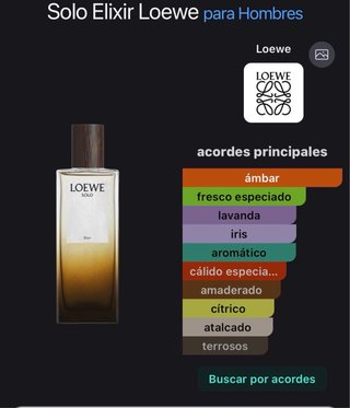 Loewe Solo Elixir 100ml Perfume Hombre