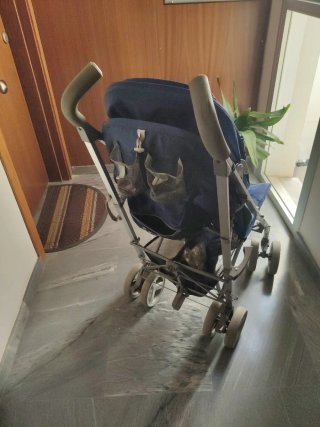 Carrito de bebé azul