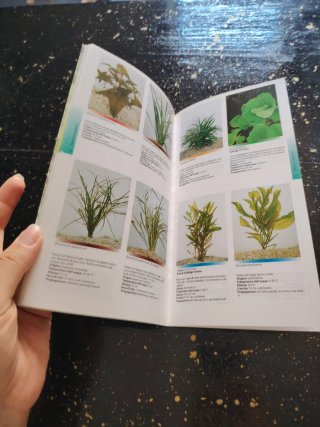 Il libro delle piante acquatiche