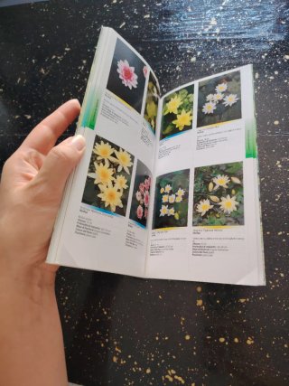 Il libro delle piante acquatiche