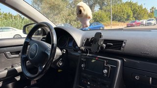 Audi A4 2004