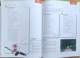 Lengua castellana y literatura, Bachillerato 2 ...