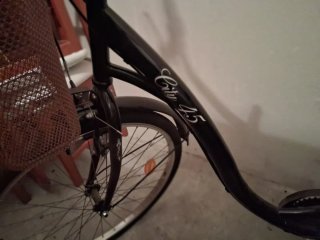 Bicicleta de paseo City 25