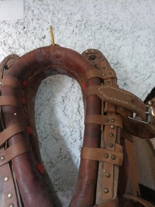 Collera de burro de cuero