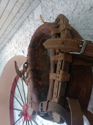 Collera de burro de cuero