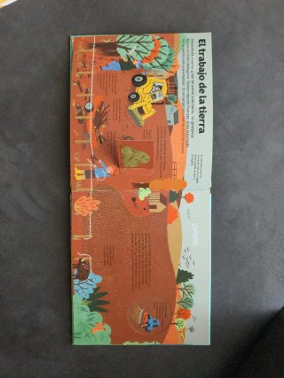 Libros infantil fesd