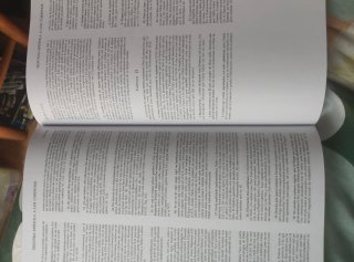 Comentario al texto griego
