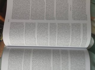 Comentario al texto griego