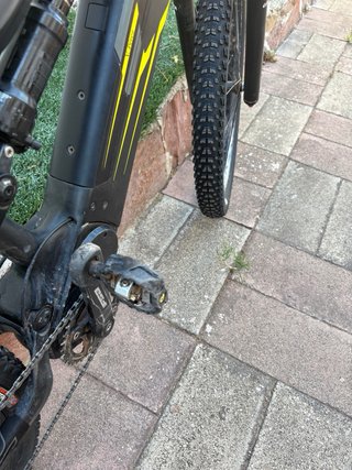Olympia E1X Carbon Bicicleta Eléctrica MTB