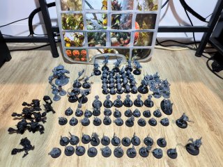 Lote Completo Gloomspite Gitz Warhammer Age of Sig