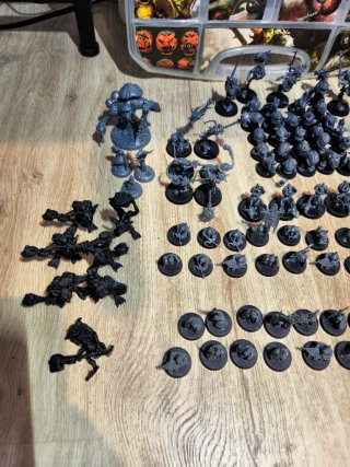 Lote Completo Gloomspite Gitz Warhammer Age of Sig