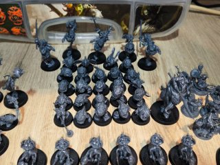 Lote Completo Gloomspite Gitz Warhammer Age of Sig