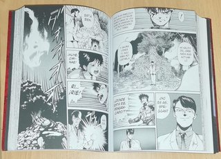 SPRIGGAN 01