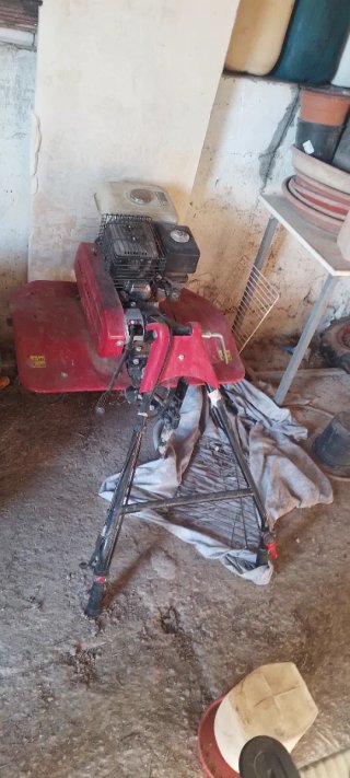 Mulilla mecánica motorizada