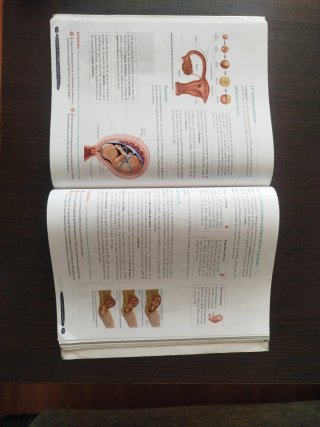 Biología y Geología 3º ESO. Libro del estudiant...