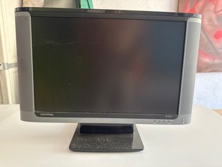 Pantalla Compaq WF1907v 19