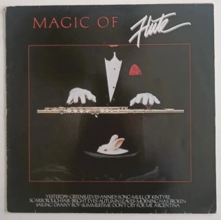 2 Vinilos: George Winston y Magic of Flute
