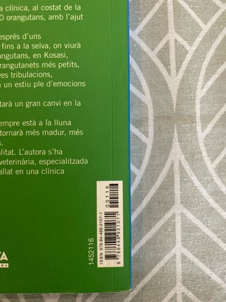 Un estiu a Borneo