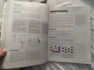 Biología y Geología 4, Secundaria, Fanfest Edel...