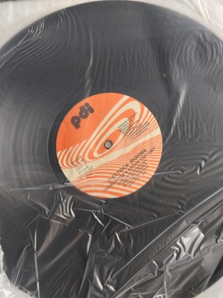 Vinilo LP Elèctrica Dharma