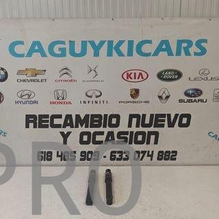 JUEGO AMORTIGUADORES TRASEROS CITROEN NUEVO S5021