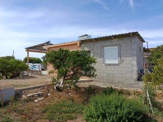Terrenos rusricos en Algemesí uno de ellos con cas