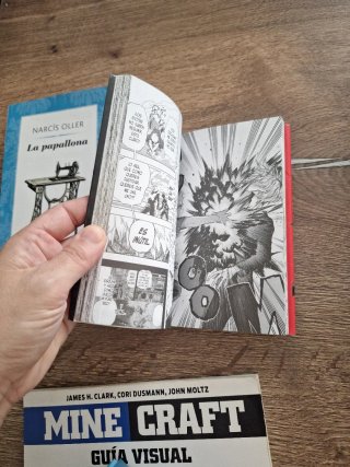 My Hero Academia 10
