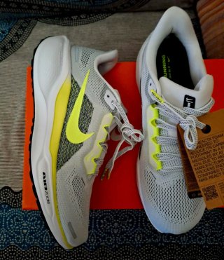 Zapatillas nike air zoom pegasus 41