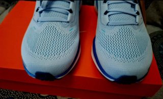 Zapatillas nike air zoom pegasus 41