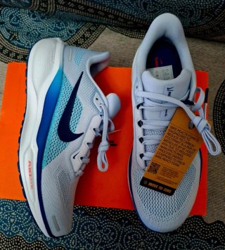 Zapatillas nike air zoom pegasus 41