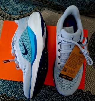 Zapatillas nike air zoom pegasus 41