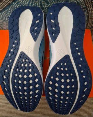 Zapatillas nike air zoom pegasus 41