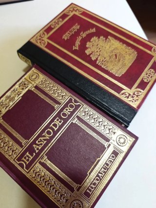 Lote libros clásicos 6
