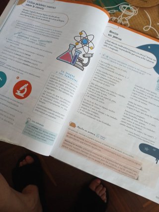 Lengua 5 Primaria