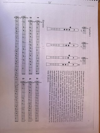 Los instrumentos musicales