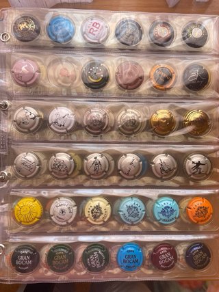 Colección Placas de Cava