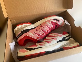 Zapatilla Salomon XA PRO V9