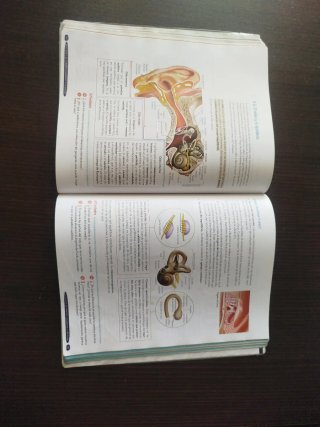 Biología y Geología 3º ESO. Libro del estudiant...