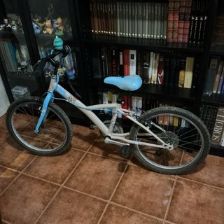 Bicicleta niña 20’