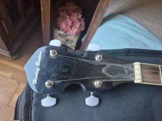 Banjo Harley Benton HBJ-25