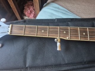 Banjo Harley Benton HBJ-25