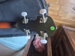 Banjo Harley Benton HBJ-25