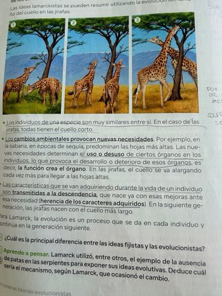 Biología y Geología 4º ESO – SM Revuela
