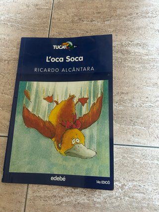Libro L'oca Soca